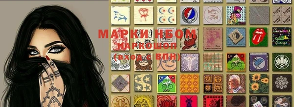 мдпв Новозыбков