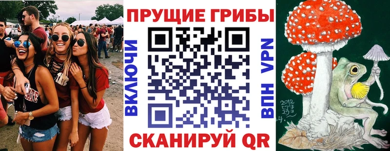 Галлюциногенные грибы мицелий  Купить где  Бийск 